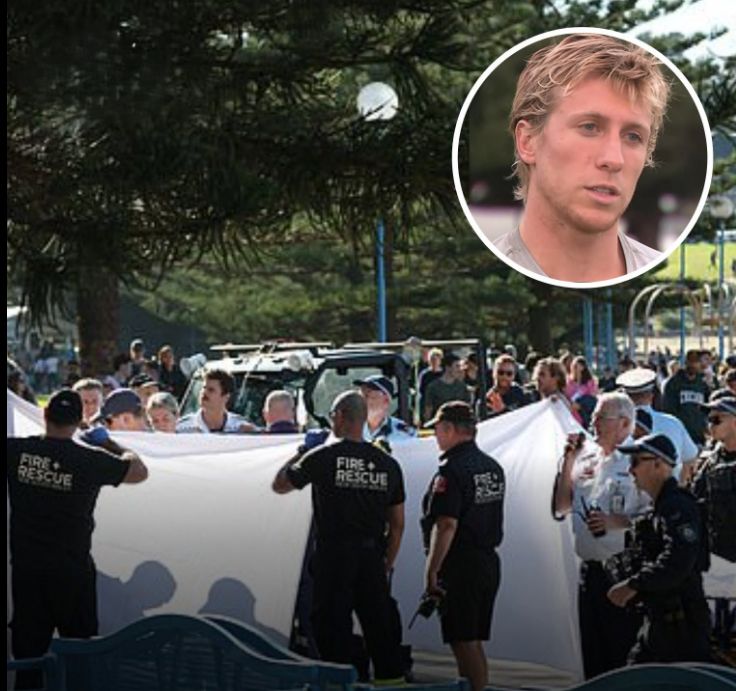hta.AU.Coogee Shark Attack: Hero Paddler Risks Life To Save Victim